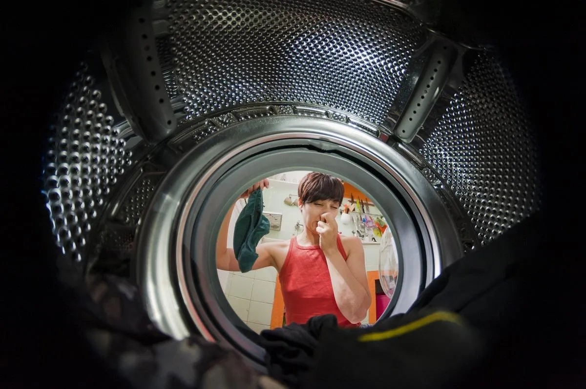 View inside a front-loading washer drum