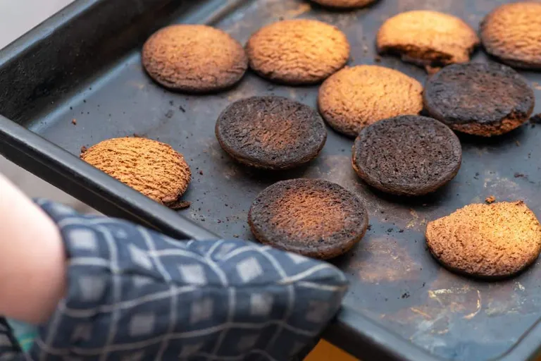 Bosch Oven Not Cooking Evenly? Try These Tips for Better Results