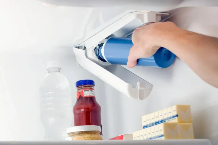 Replacing a refrigerator water filter