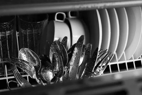 Fisher and Paykel Dishwasher Not Drying Dishes: Your Troubleshooting Guide