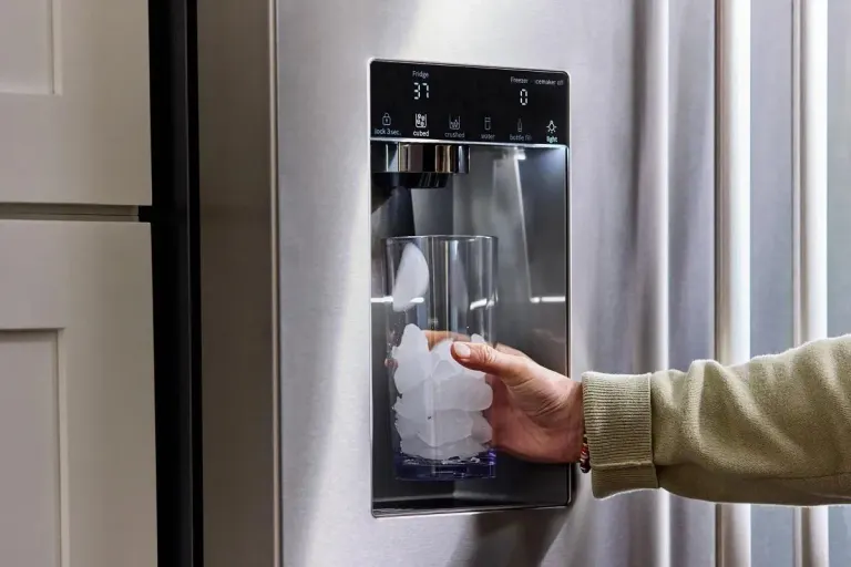 Why Do My Bosch Refrigerator Ice Cubes Taste Bad?