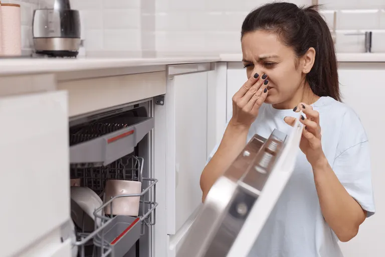 Why Does My Dishwasher Smell So Bad? 6 Reasons and How to Stop It Fast