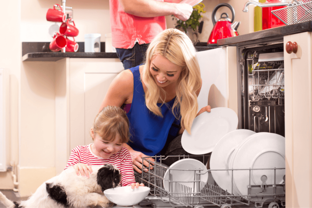 Electrolux dishwasher is leaking water