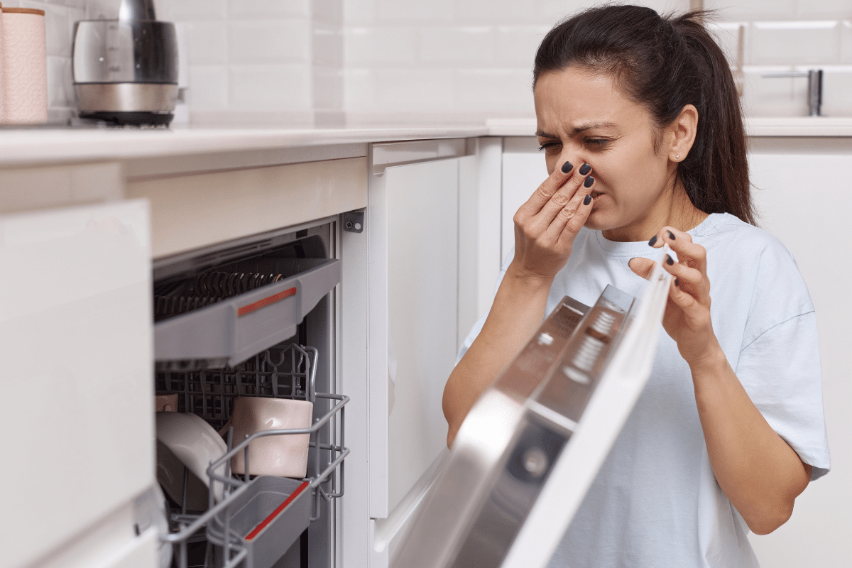 Why Does My Dishwasher Smell
